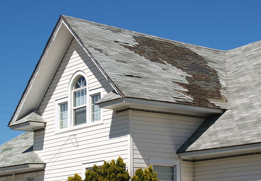 Roof Repair Expert